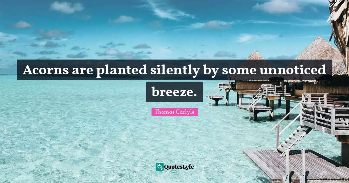 Acorns are planted silently by some unnoticed breeze.