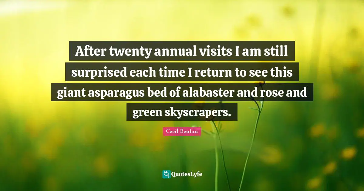 After twenty annual visits I am still surprised each time I return to see this giant asparagus bed of alabaster and rose and green skyscrapers.