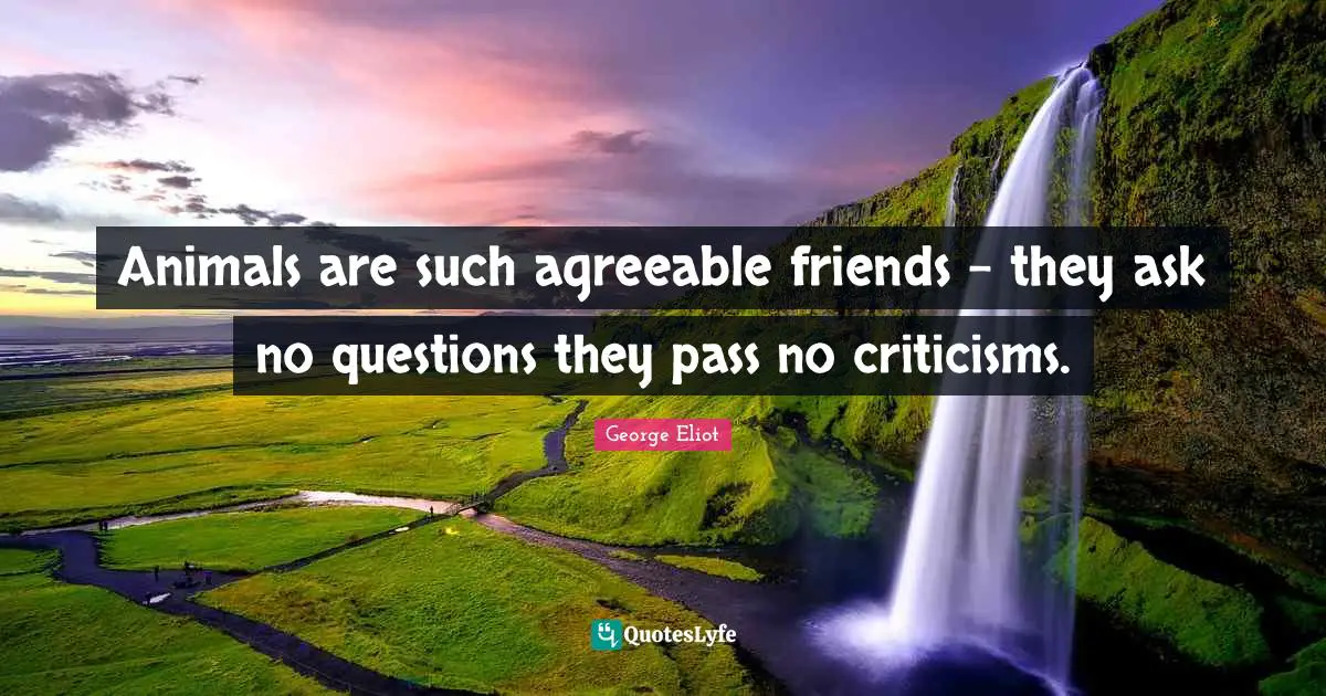 Animals are such agreeable friends - they ask no questions they pass no criticisms.