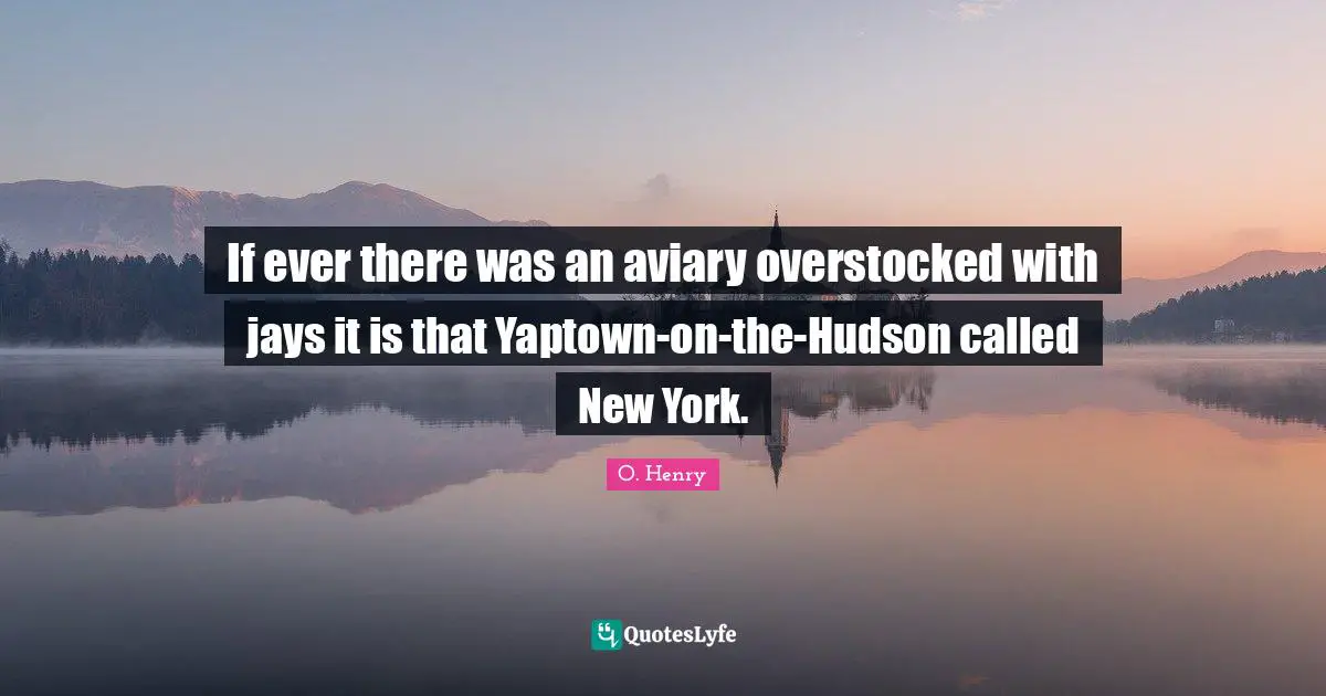 If ever there was an aviary overstocked with jays it is that Yaptown-on-the-Hudson called New York.