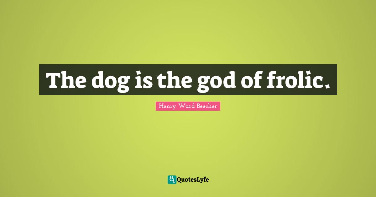 The dog is the god of frolic.