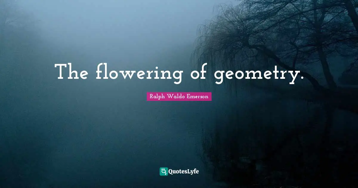 The flowering of geometry.