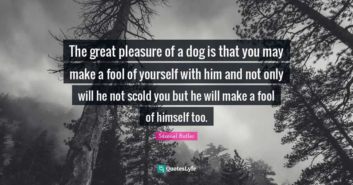 The great pleasure of a dog is that you may make a fool of yourself with him and not only will he not scold you but he will make a fool of himself too.