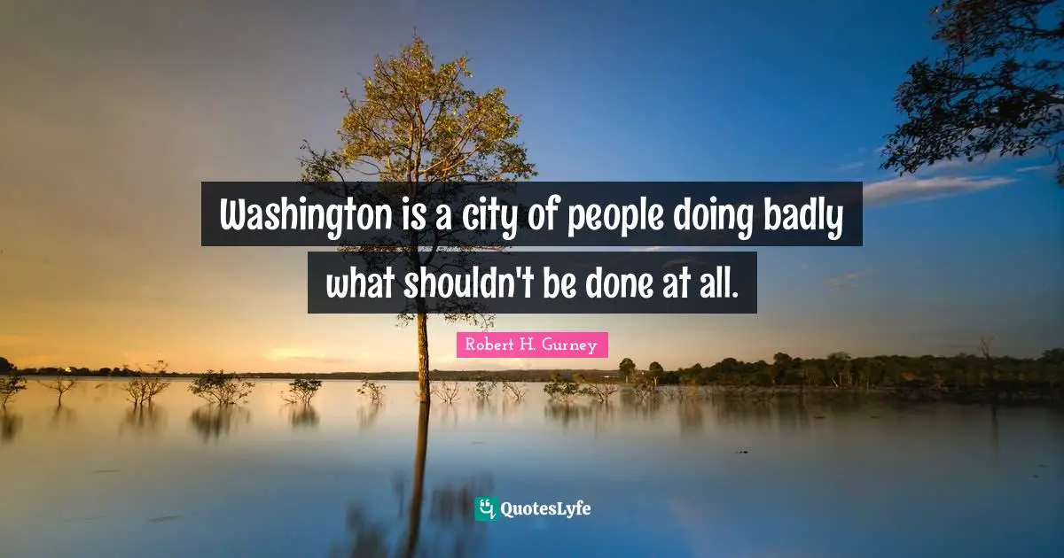 Washington is a city of people doing badly what shouldn't be done at all.