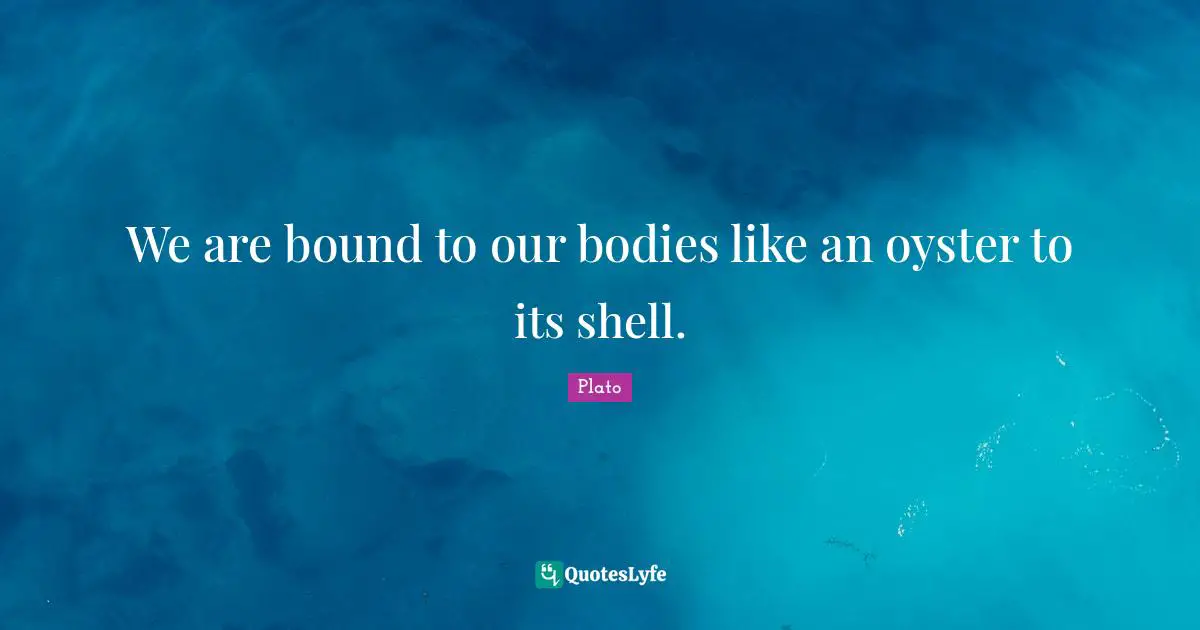 We are bound to our bodies like an oyster to its shell.