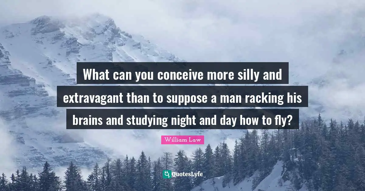 What can you conceive more silly and extravagant than to suppose a man racking his brains and studying night and day how to fly?