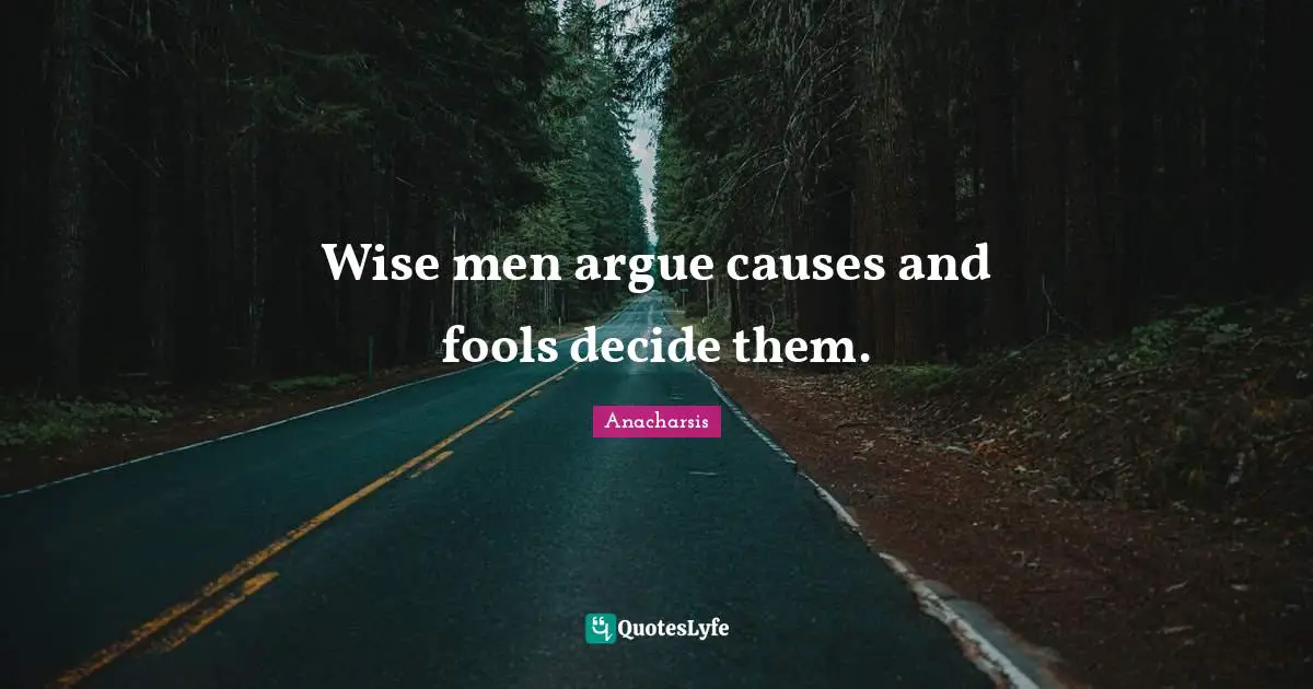 Wise men argue causes and fools decide them.