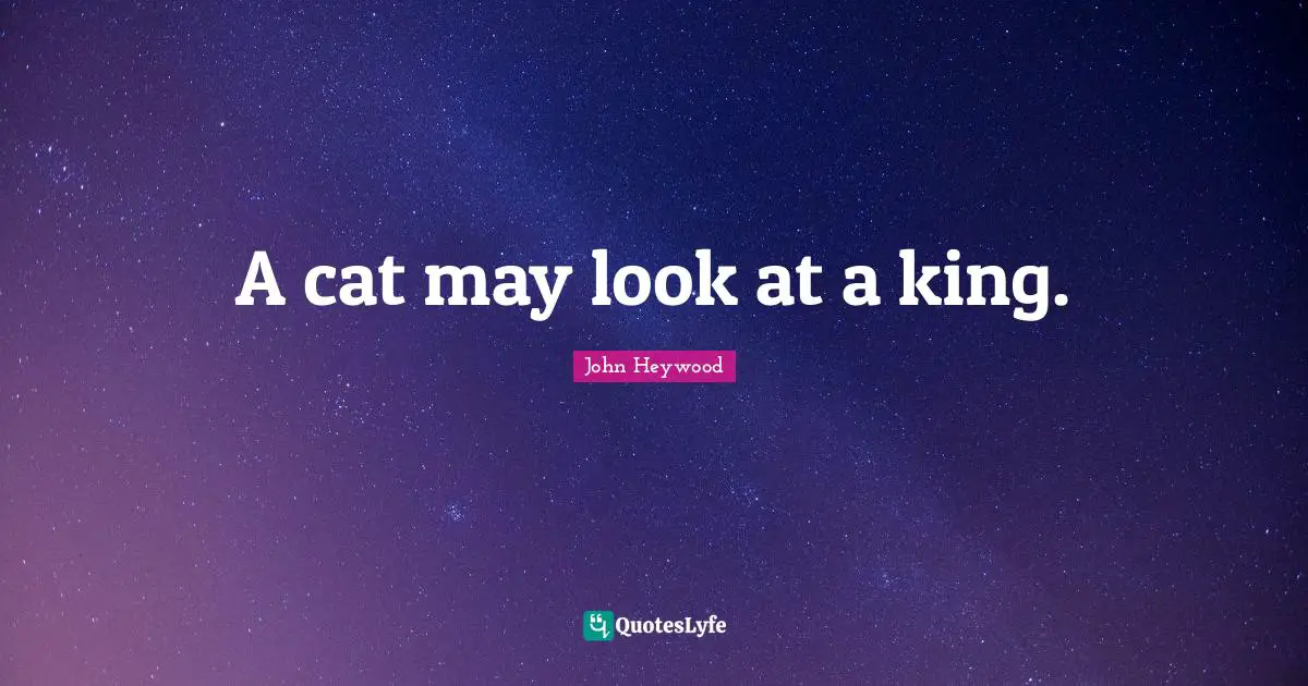 John Heywood Quotes: "A cat may look at a king."