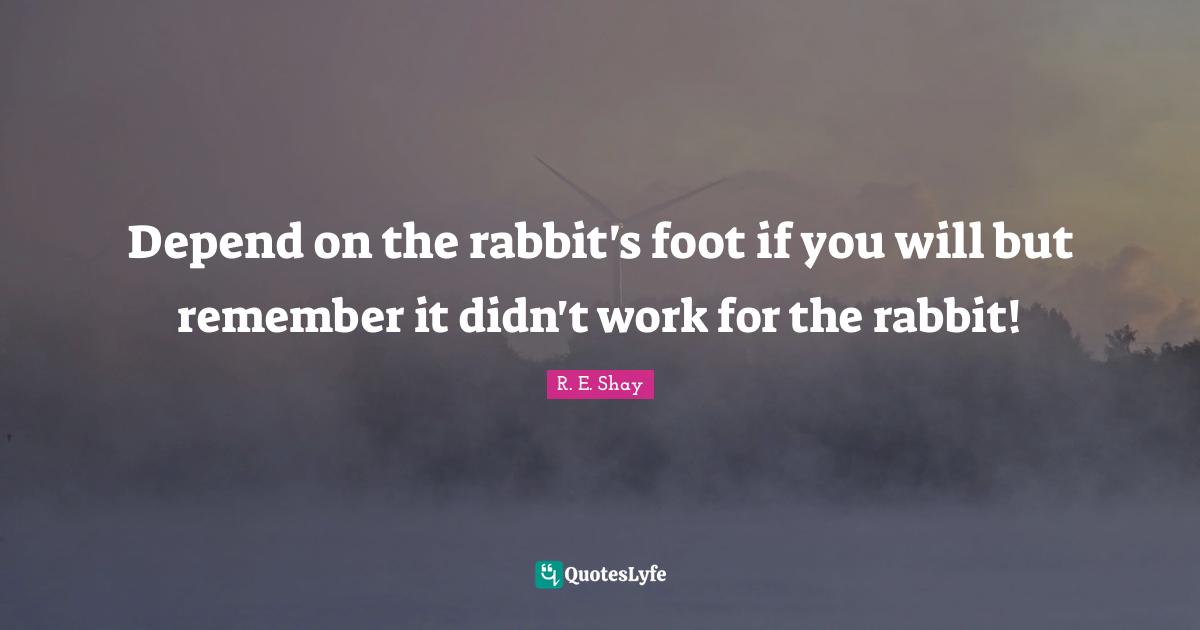 Depend on the rabbit's foot if you will but remember it didn't work for the rabbit!