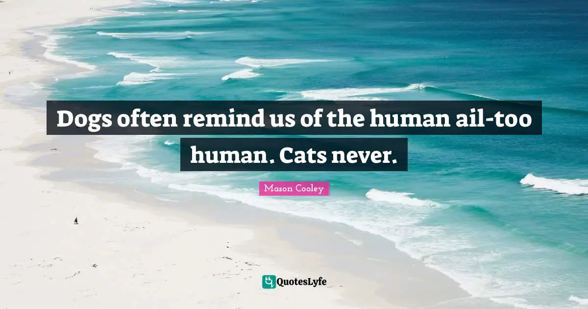 Dogs often remind us of the human ail-too human. Cats never.