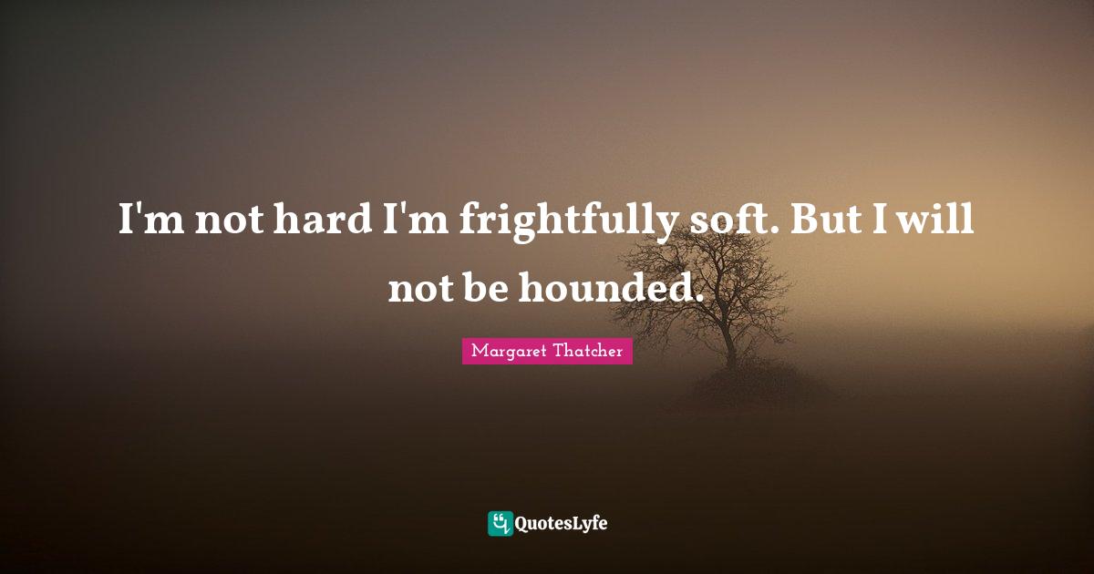 I'm not hard I'm frightfully soft. But I will not be hounded.