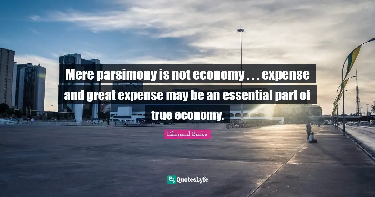 Mere parsimony is not economy . . . expense and great expense may be an essential part of true economy.