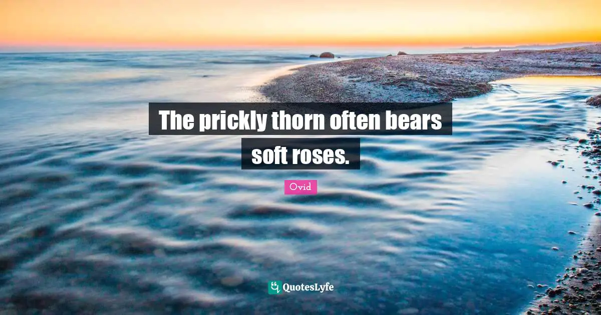 The prickly thorn often bears soft roses.
