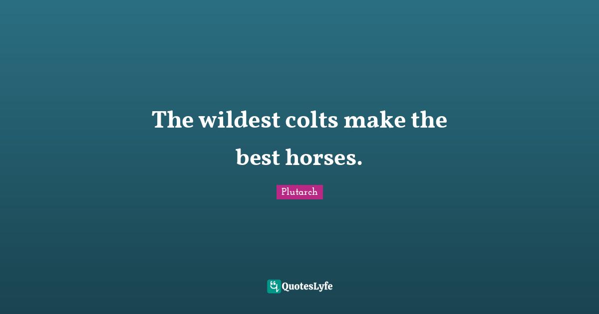 The wildest colts make the best horses.