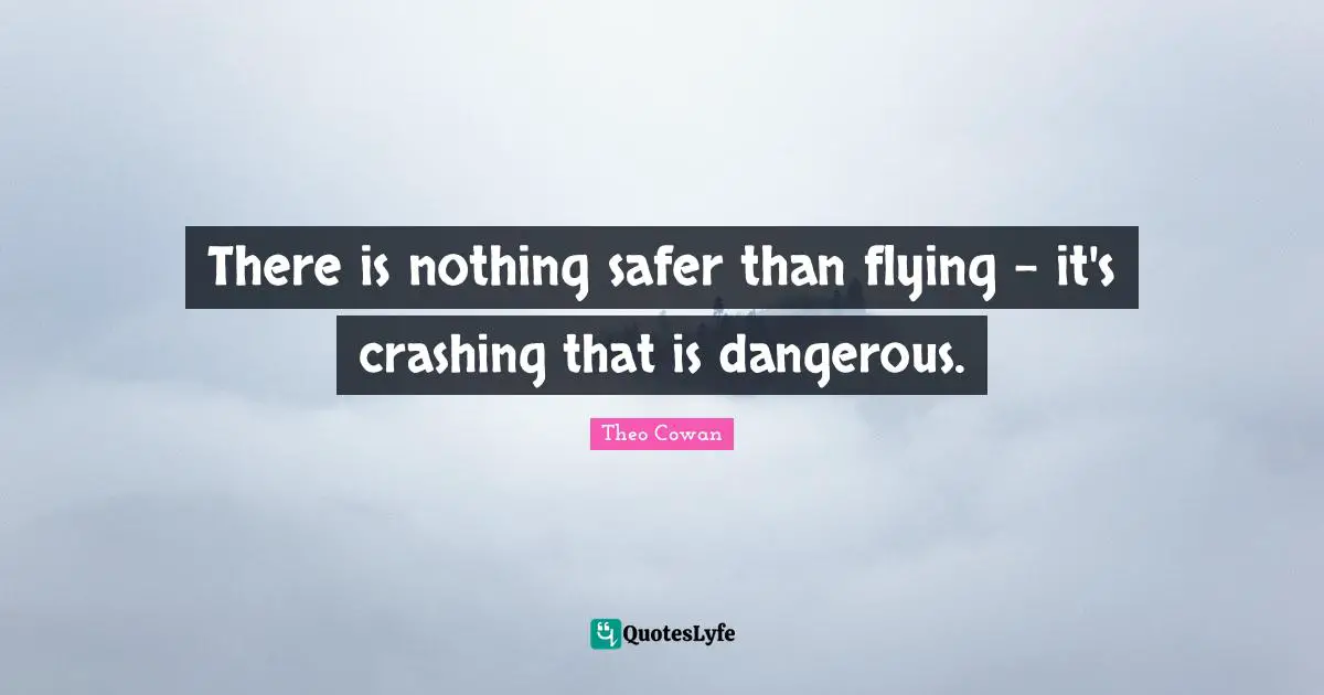 There is nothing safer than flying - it's crashing that is dangerous.
