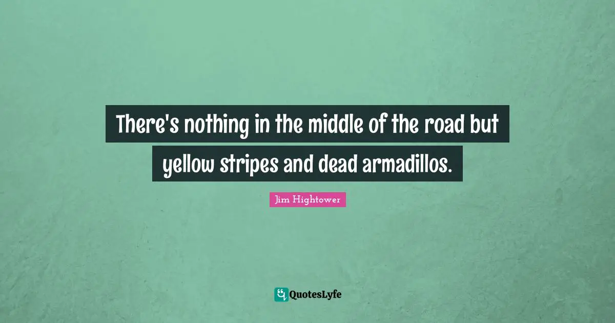 There's nothing in the middle of the road but yellow stripes and dead armadillos.