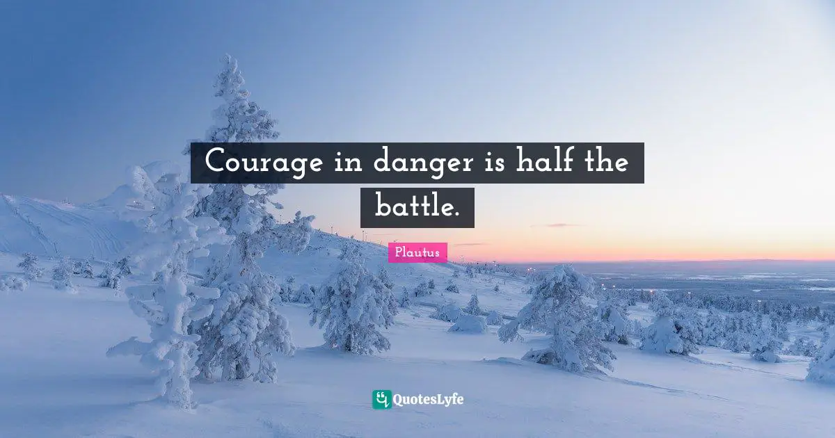 Courage in danger is half the battle.