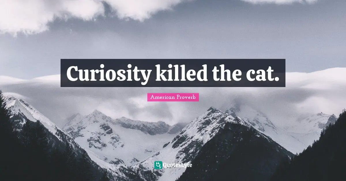 Curiosity killed the cat.