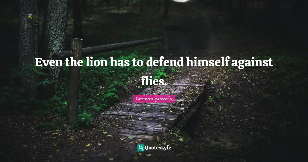 German Proverb Quotes: "Even the lion has to defend himself against flies."
