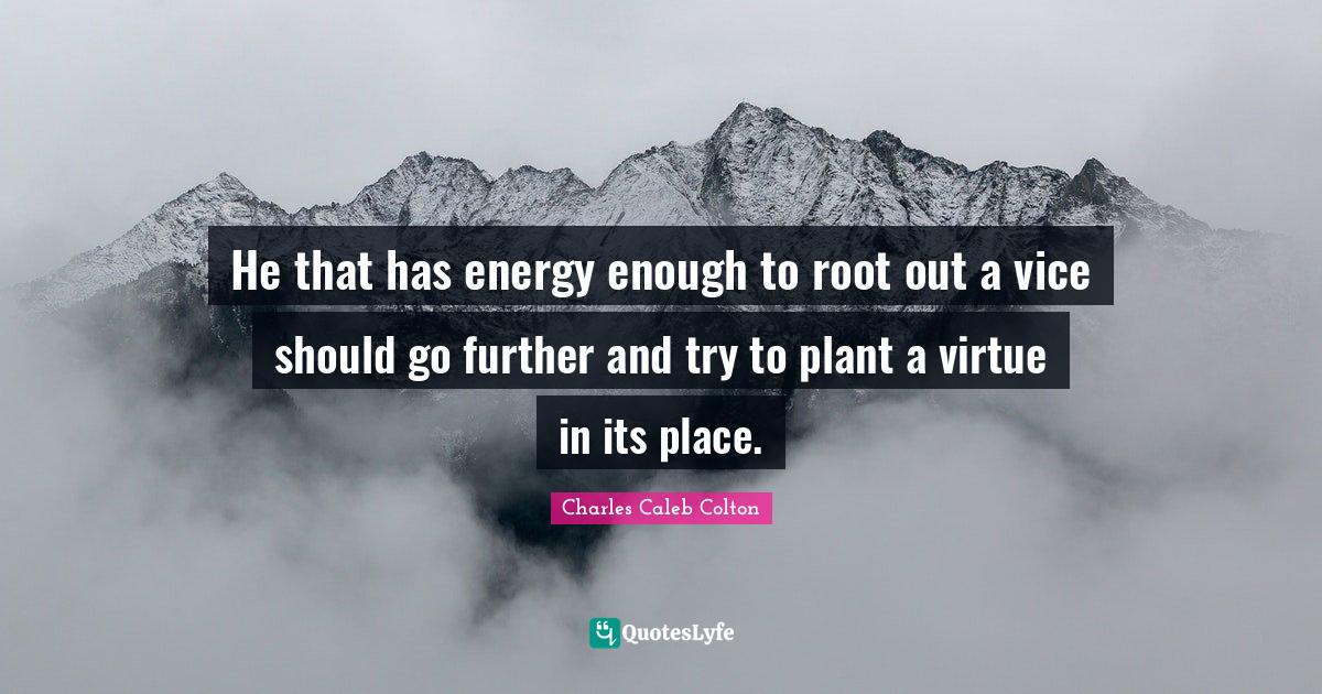 He that has energy enough to root out a vice should go further and try to plant a virtue in its place.