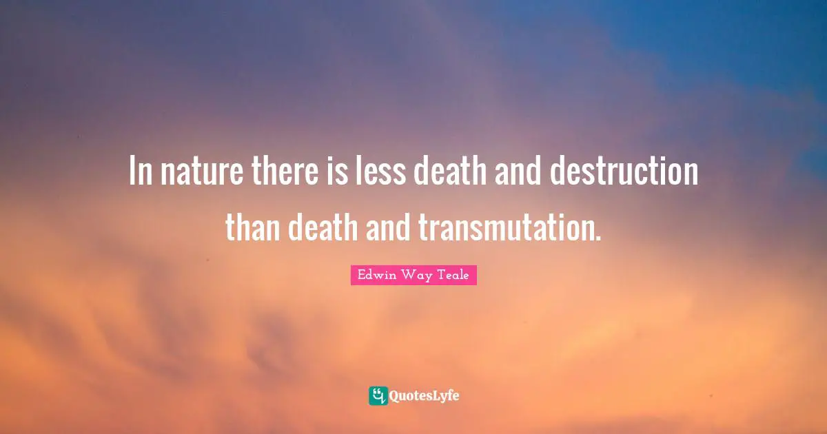 In nature there is less death and destruction than death and transmutation.