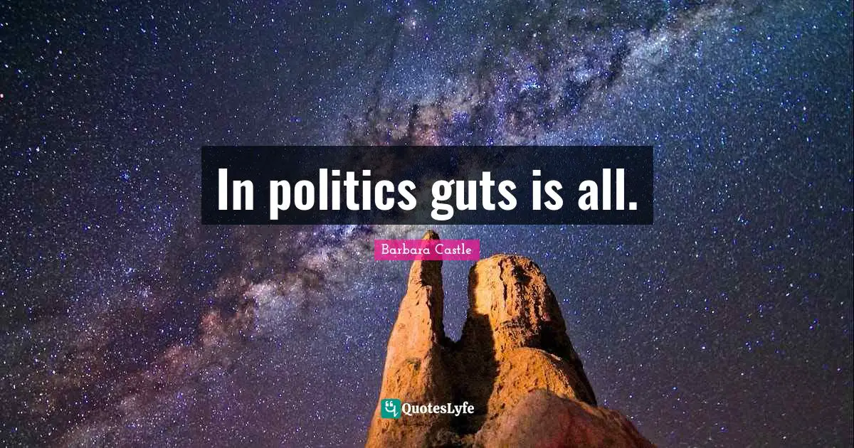 In politics guts is all.