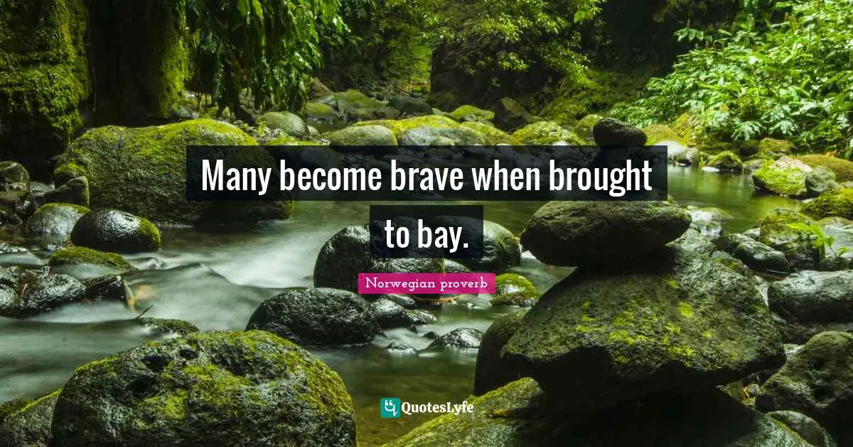 Many become brave when brought to bay.