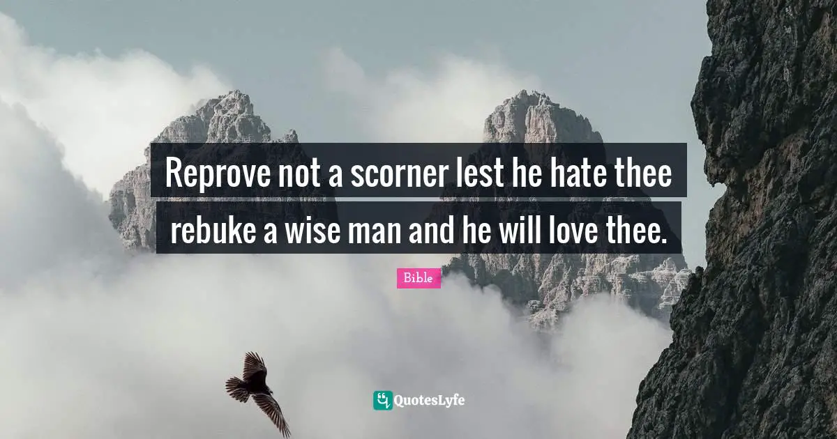Reprove not a scorner lest he hate thee rebuke a wise man and he will love thee.