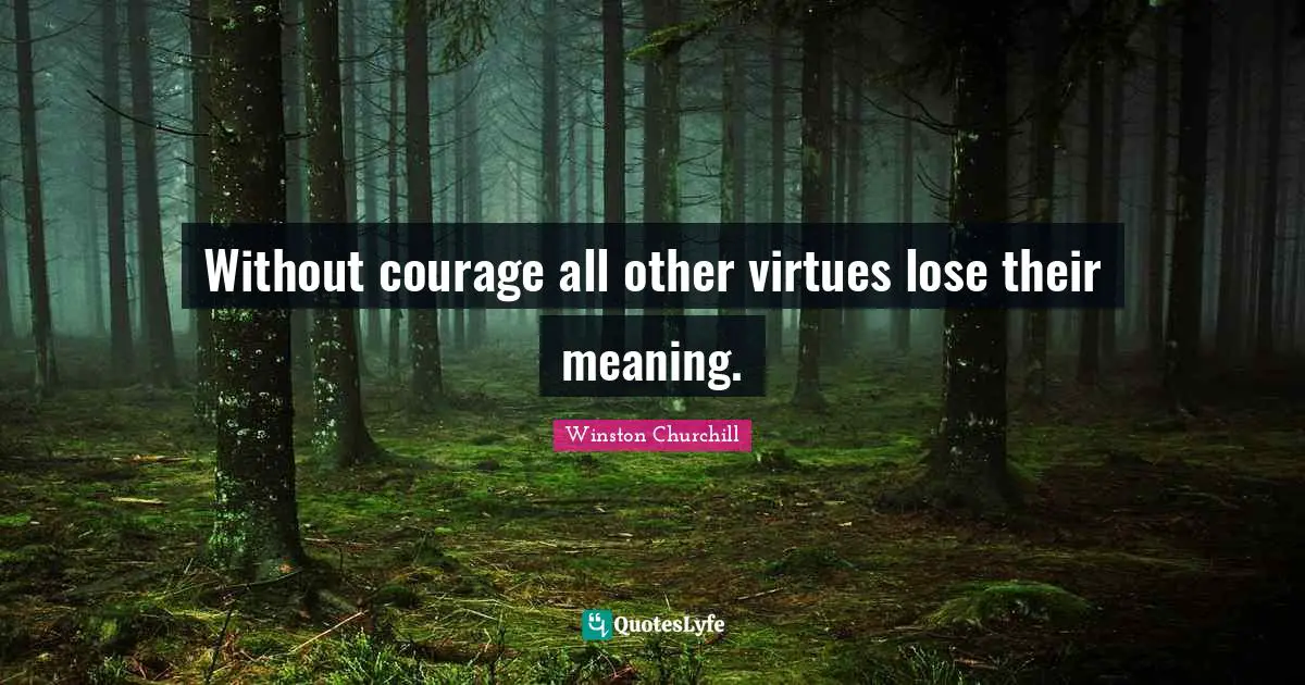Without courage all other virtues lose their meaning.