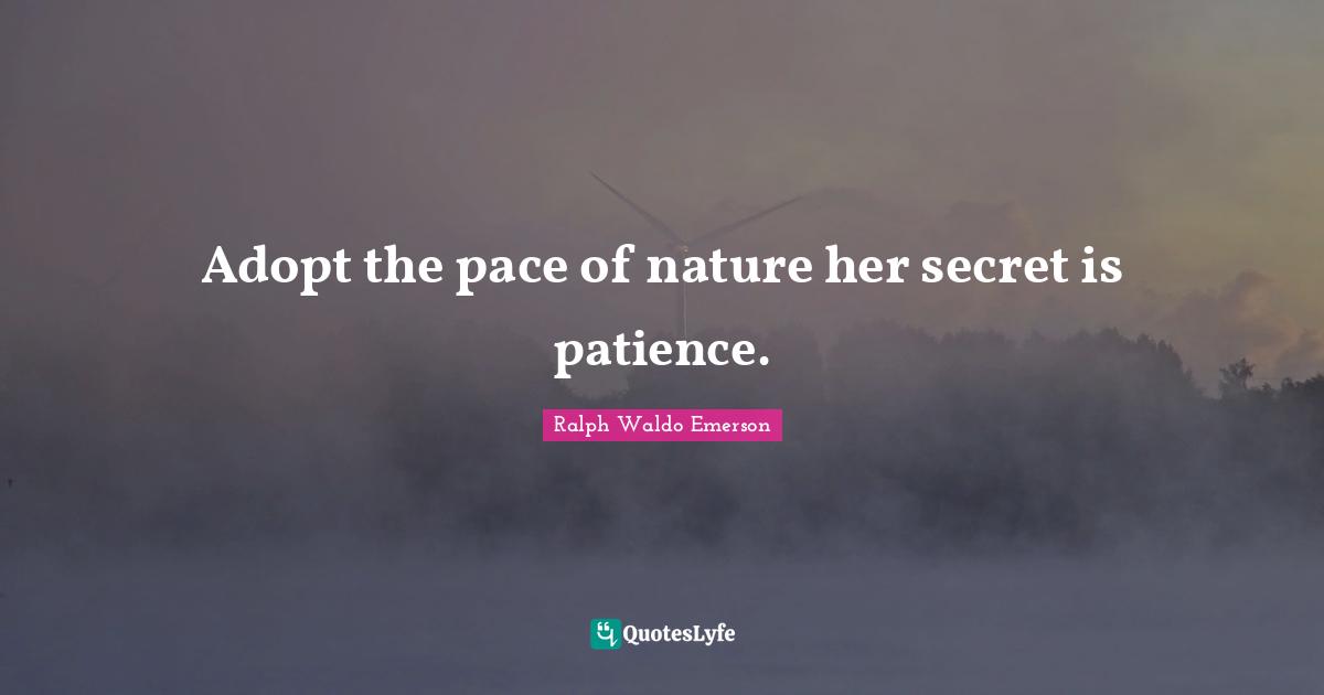 Adopt the pace of nature her secret is patience.