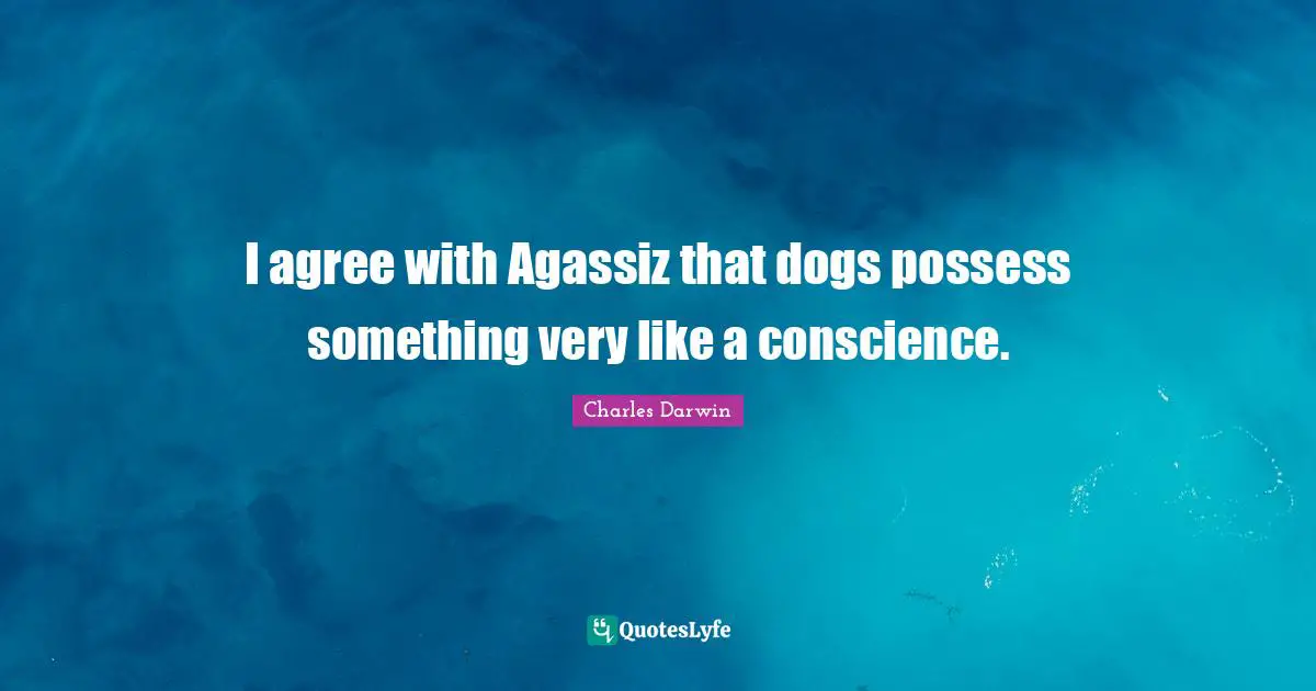 I agree with Agassiz that dogs possess something very like a conscience.