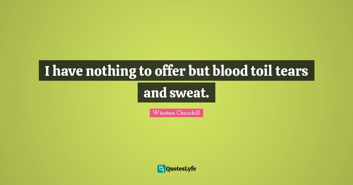 I have nothing to offer but blood toil tears and sweat.
