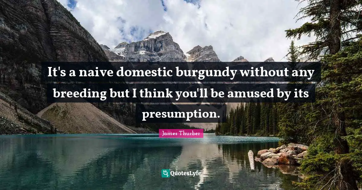 It's a naive domestic burgundy without any breeding but I think you'll be amused by its presumption.