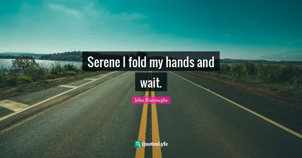 John Burroughs Quotes: Serene I fold my hands and wait.