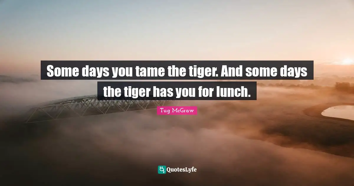 Some days you tame the tiger. And some days the tiger has you for lunch.