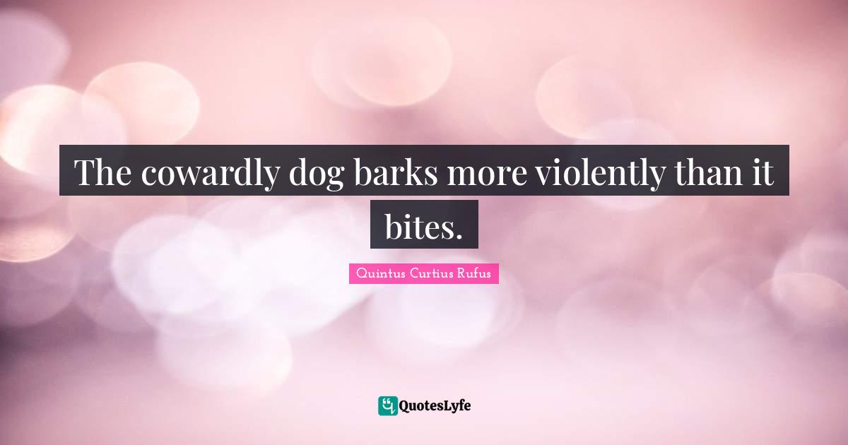The cowardly dog barks more violently than it bites.