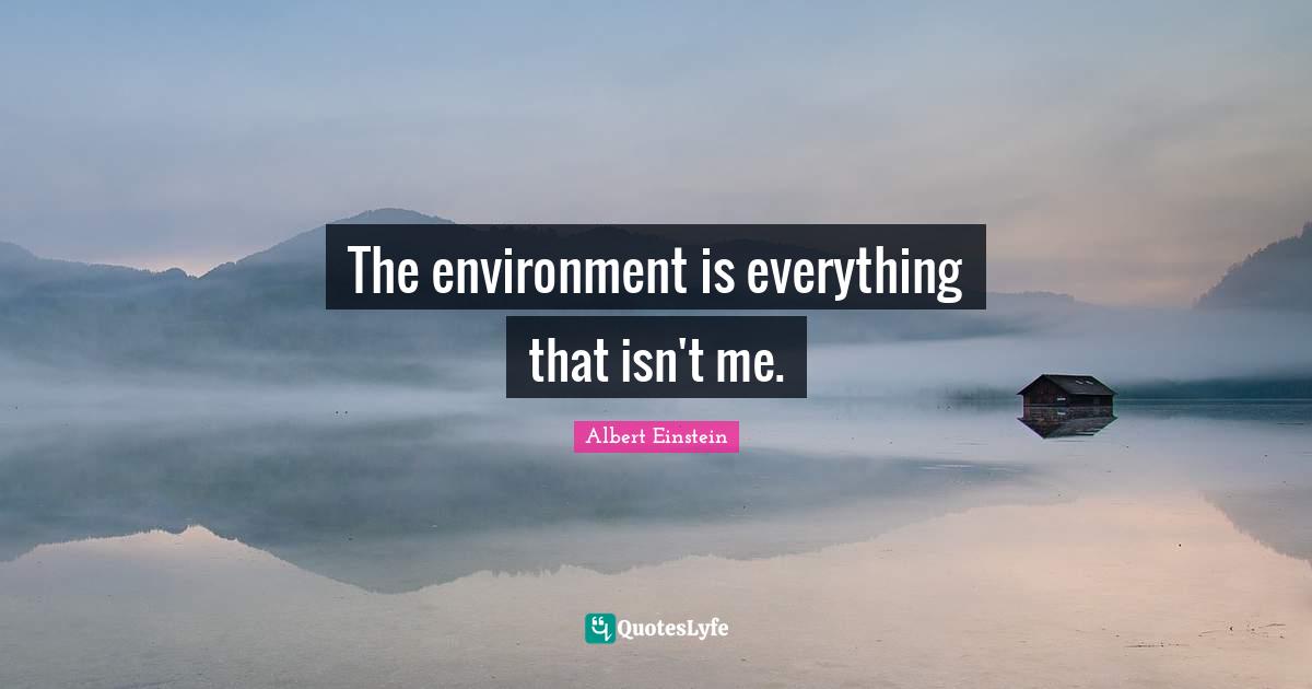 The environment is everything that isn't me.