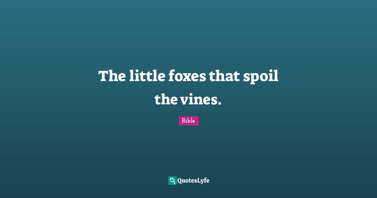 The little foxes that spoil the vines.