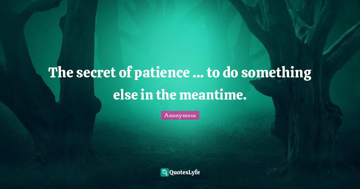 The secret of patience ... to do something else in the meantime.