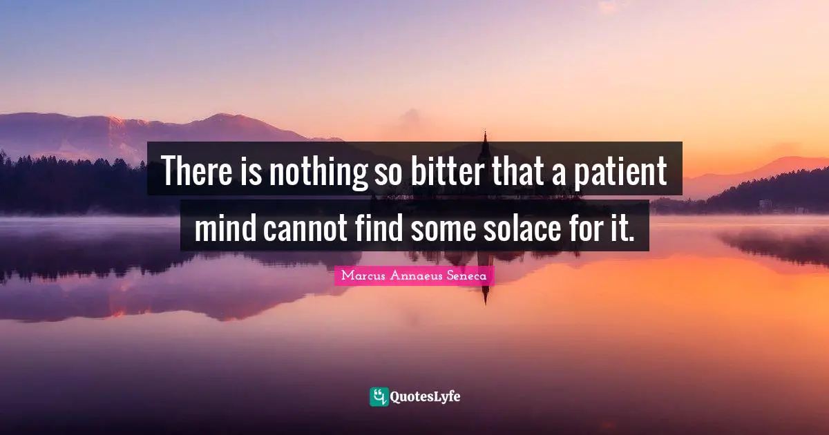 There is nothing so bitter that a patient mind cannot find some solace for it.