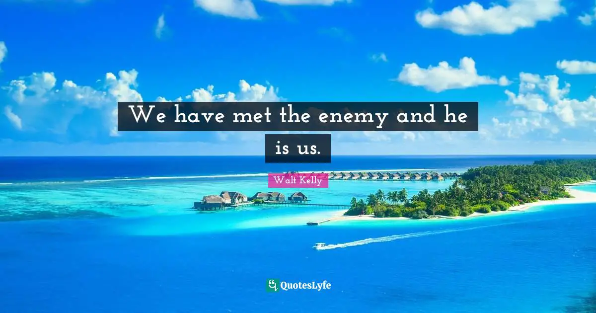 We have met the enemy and he is us.