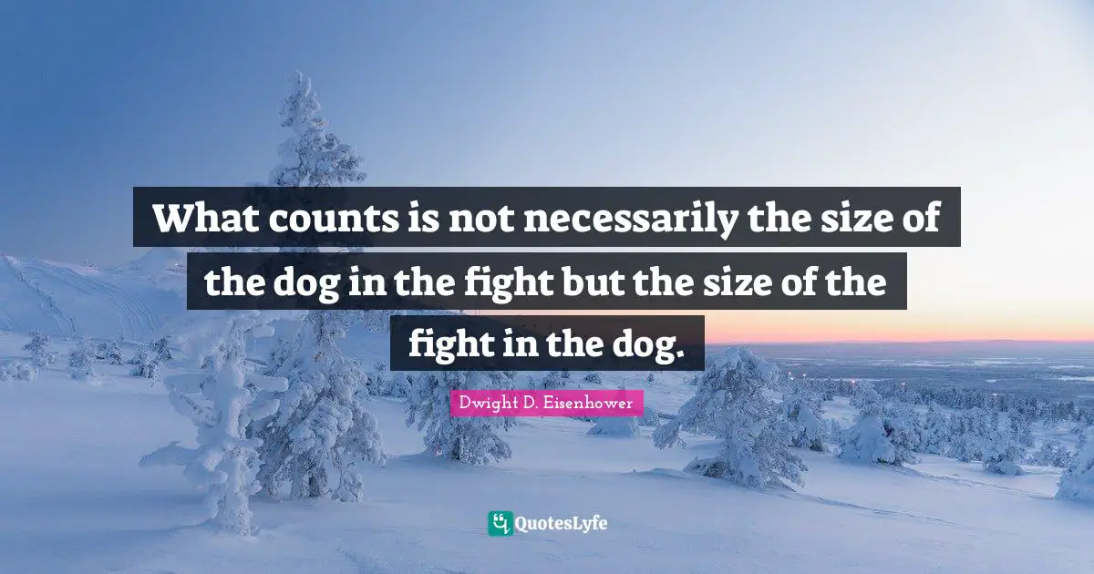 What counts is not necessarily the size of the dog in the fight but the size of the fight in the dog.