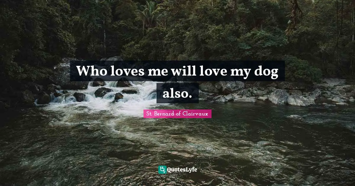 Bernard Of Clairvaux Quotes: "Who loves me will love my dog also."