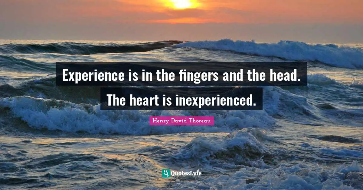 Experience is in the fingers and the head. The heart is inexperienced.