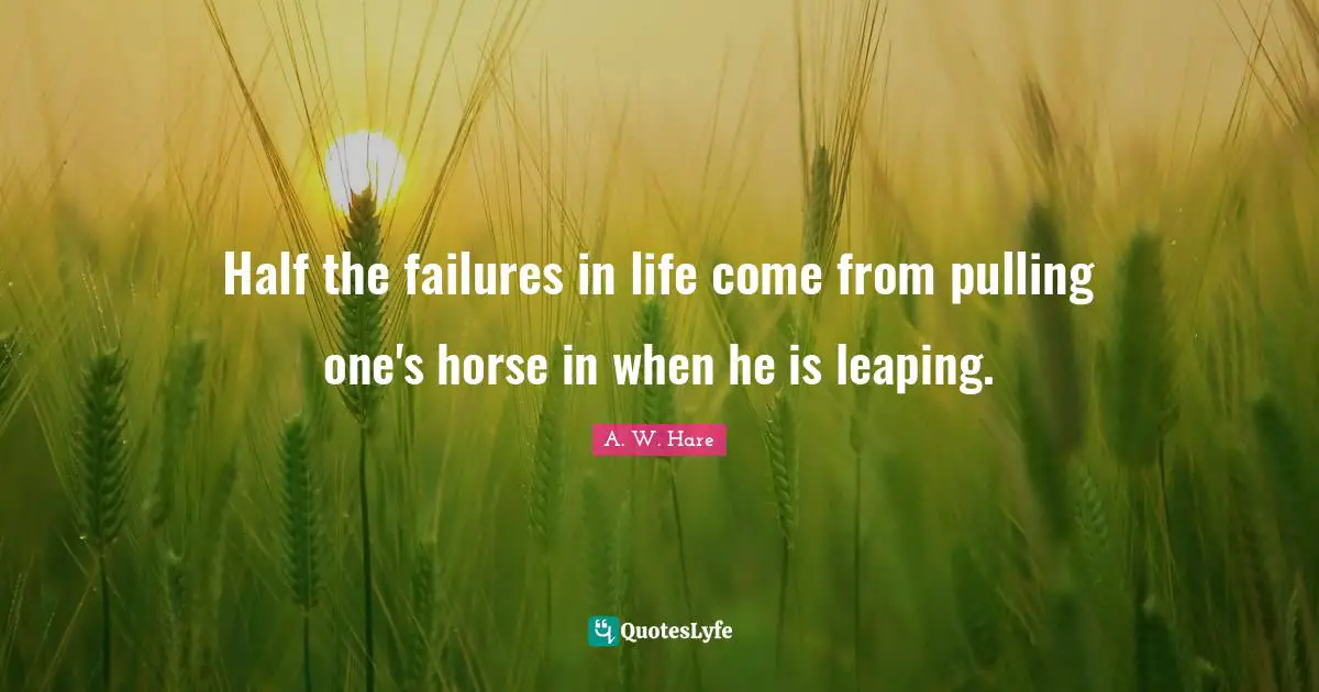 Half the failures in life come from pulling one's horse in when he is leaping.