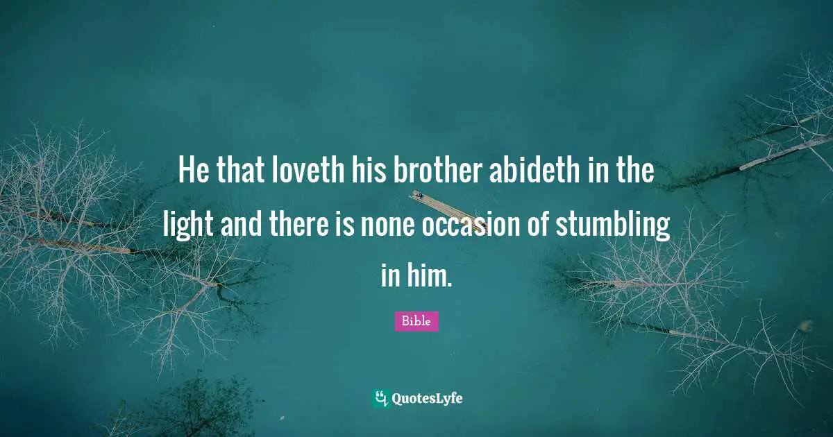 He that loveth his brother abideth in the light and there is none occasion of stumbling in him.