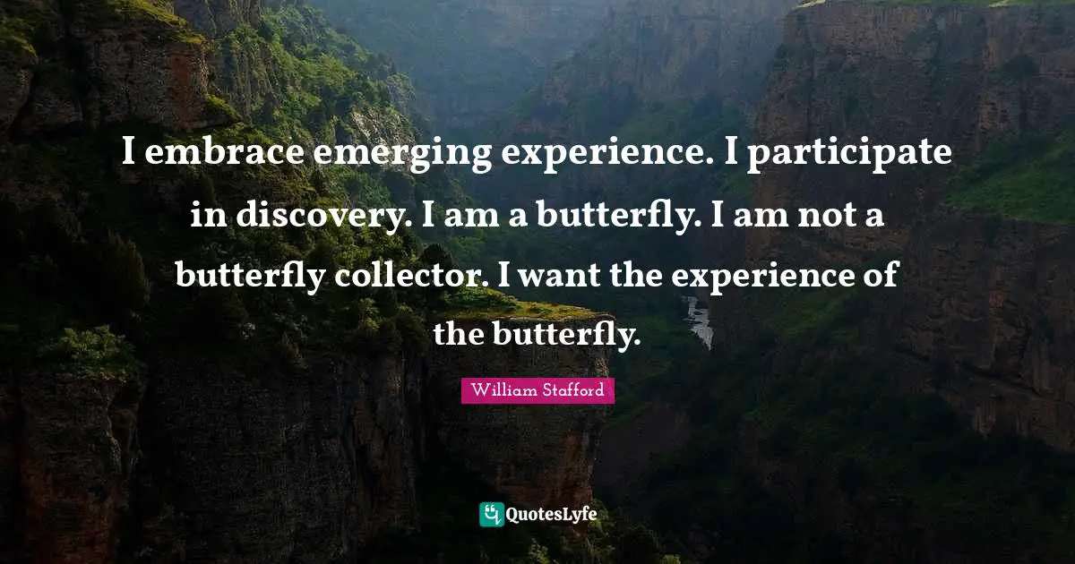 I embrace emerging experience. I participate in discovery. I am a butterfly. I am not a butterfly collector. I want the experience of the butterfly.