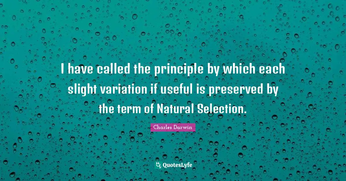 I have called the principle by which each slight variation if useful is preserved by the term of Natural Selection.