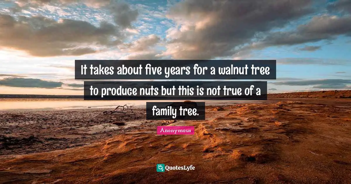 It takes about five years for a walnut tree to produce nuts but this is not true of a family tree.
