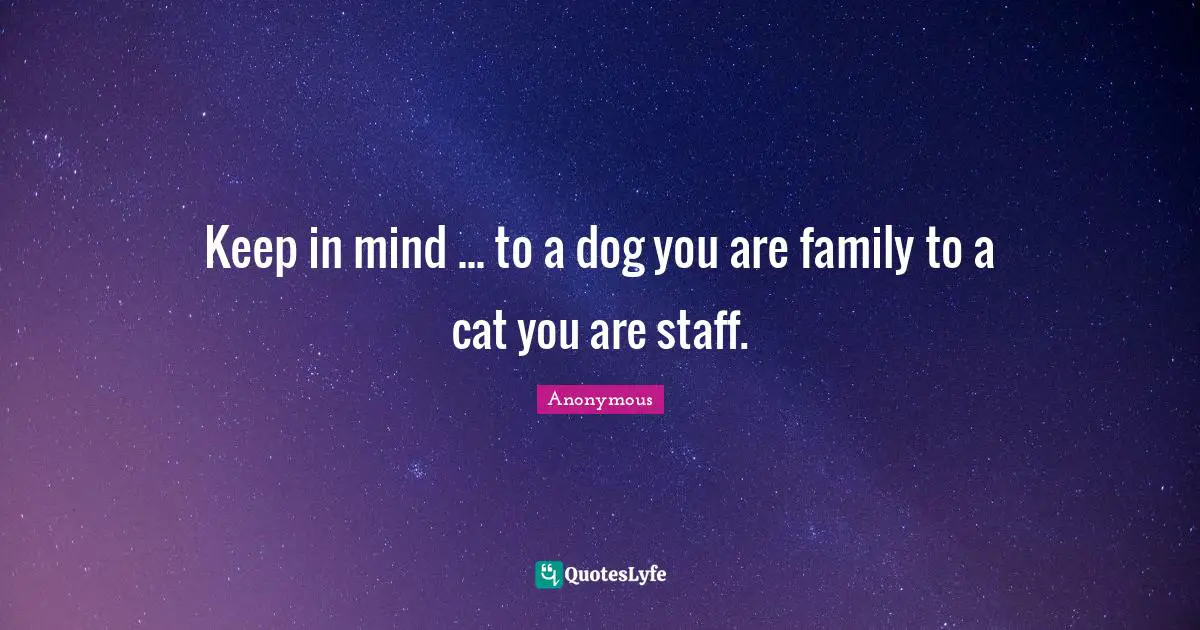 Keep in mind ... to a dog you are family to a cat you are staff.